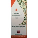 eucalipto