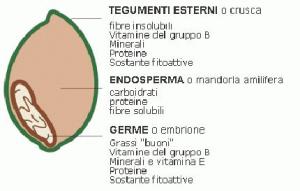 germedigrano